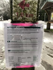 THE IRRATIONAL Filming in Burnaby's Central Park